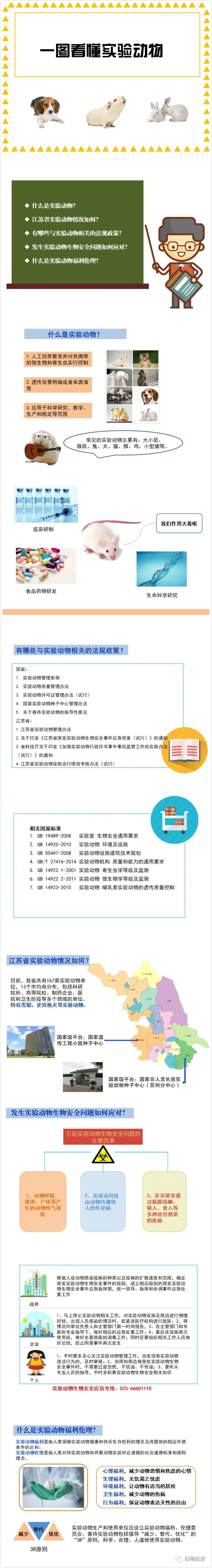 USDT钱包官网科普 | 一图看懂实验动物